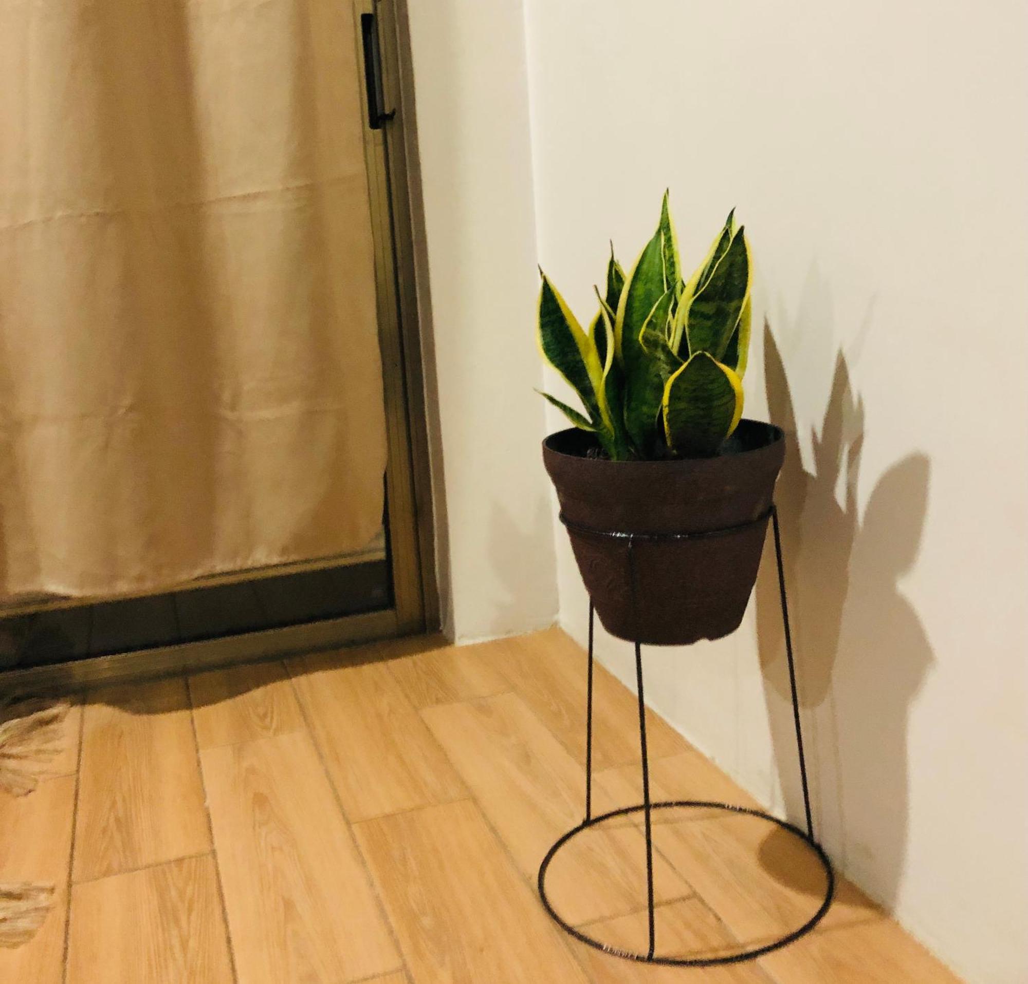 Balabala Bed & Breakfast I 나디 외부 사진